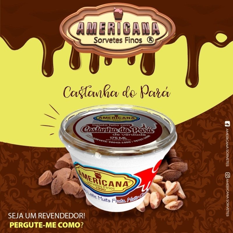 Pote de Sorvete 175ml | Castanha do ParÃ¡ | Sorveteria Americana
