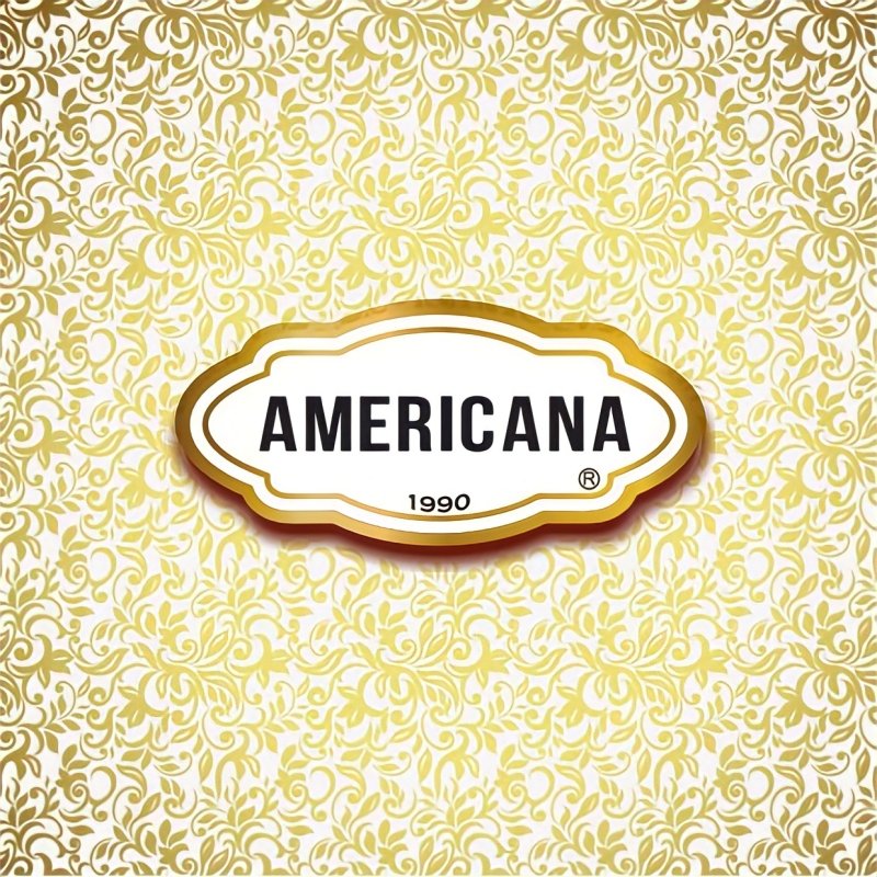 O 1° Lugar em Vendas | Americana Sorvete